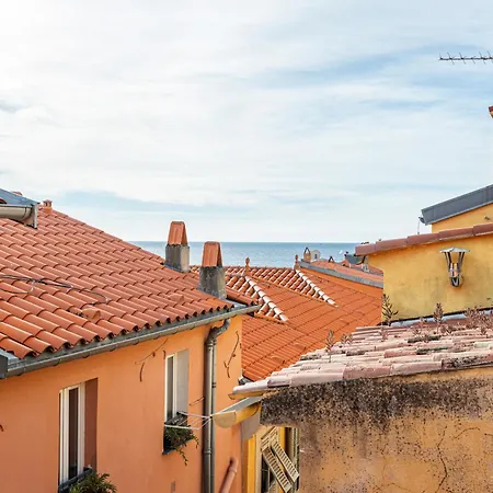 Le Bougainvillier Vieille